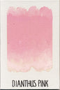 Williamsburg Oils - Orange or Red or Purple