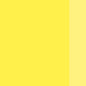 Holbein Artists' Oils - White or Yellow