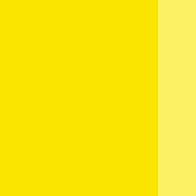 Holbein Artists' Oils - White or Yellow