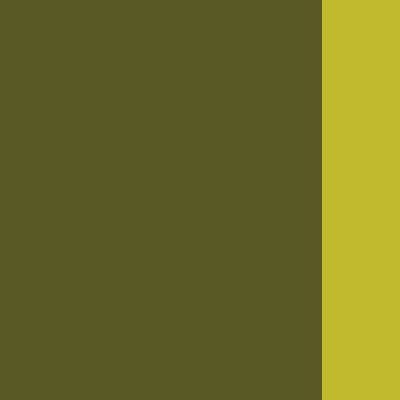 Holbein Artists' Oils - Brown or Green