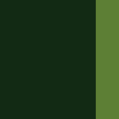 Holbein Artists' Oils - Brown or Green