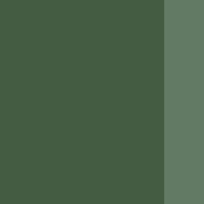 Holbein Artists' Oils - Brown or Green