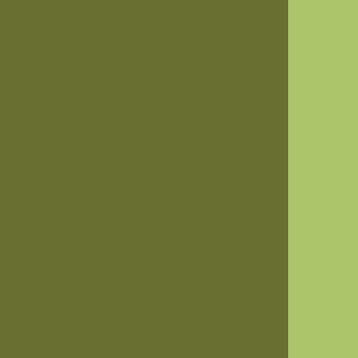 Holbein Artists' Oils - Brown or Green