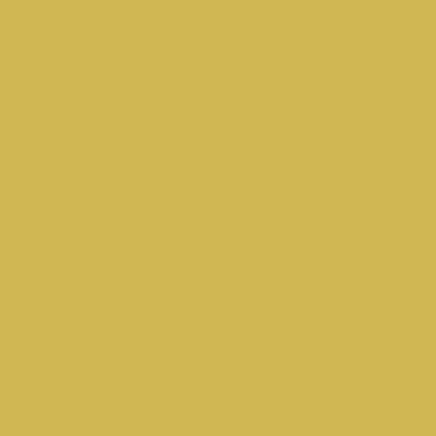 Jacquard Dye-Na-Flow Paints