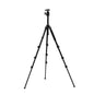 Sienna Plein Air Tripod (Special Order)
