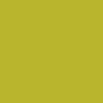 Montana BLACK Spray Paints - Brown or Green