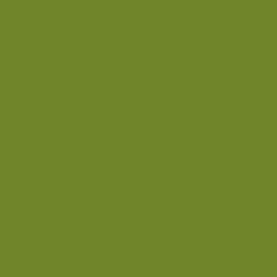 Montana BLACK Spray Paints - Brown or Green