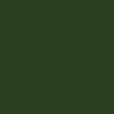Montana BLACK Spray Paints - Brown or Green