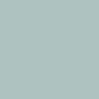 Montana BLACK Spray Paints - Black or Grey or Blue