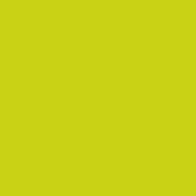 Montana BLACK Spray Paints - Brown or Green