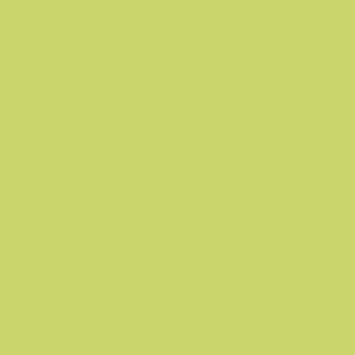 Montana BLACK Spray Paints - Brown or Green