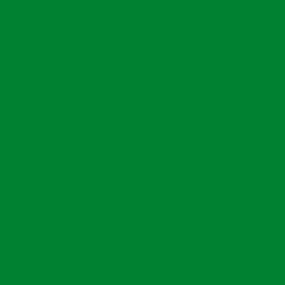 Montana BLACK Spray Paints - Brown or Green