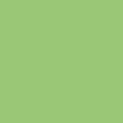 Montana BLACK Spray Paints - Brown or Green