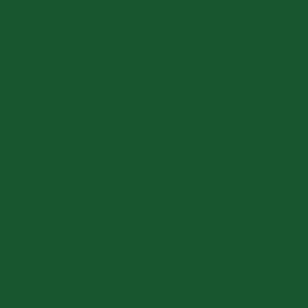 Opus Essential Oil Colours