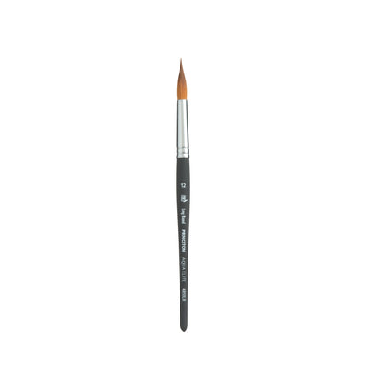 Princeton Aqua Elite Synthetic Watercolour Brushes