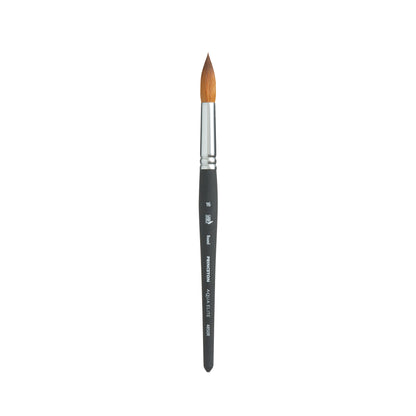 Princeton Aqua Elite Synthetic Watercolour Brushes