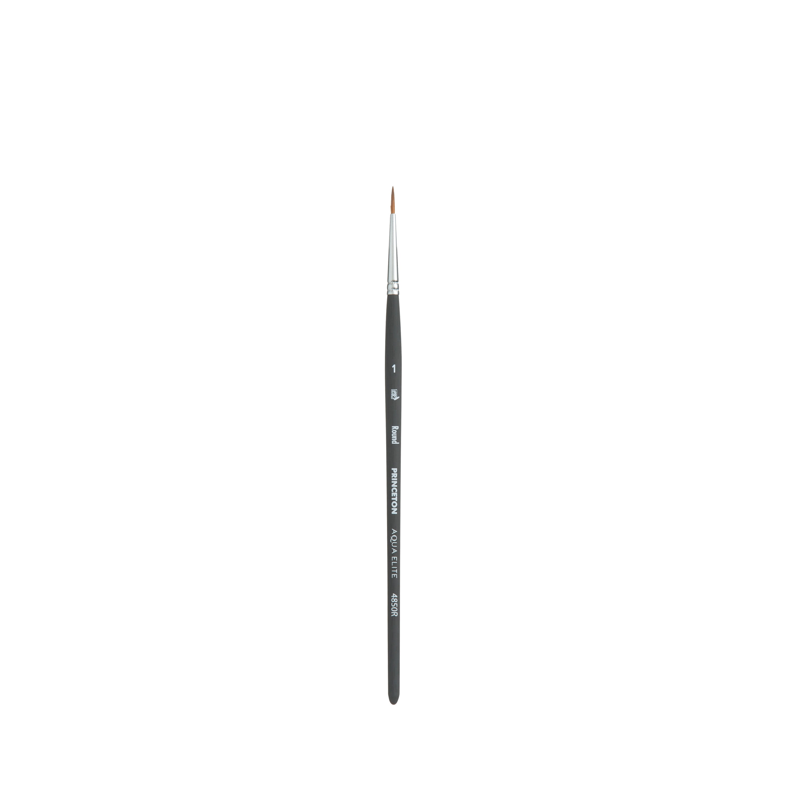 Watercolour outlet Aqua Elite Princeton Paint Watercolor Brush