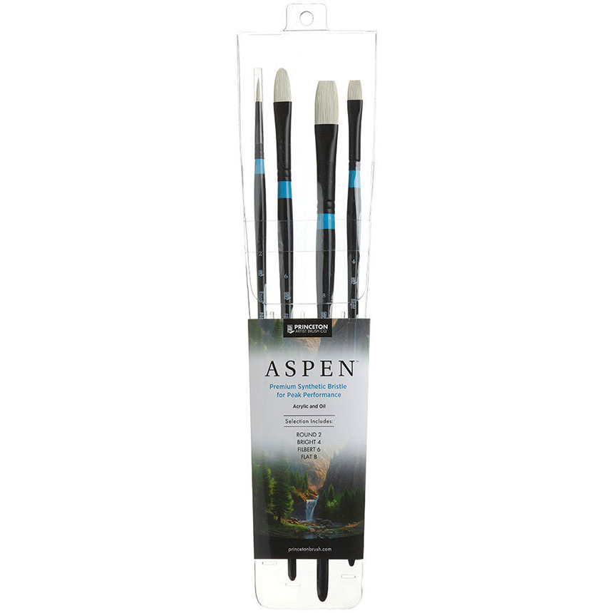 Princeton Aspen Brush 6500 Set of 4