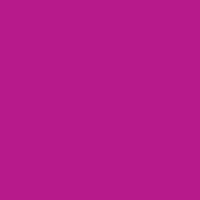 Pebeo Setacolor Opaque Fabric Paints