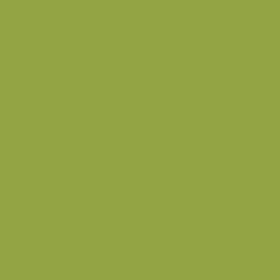 Pebeo Setacolor Opaque Fabric Paints