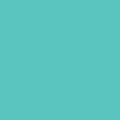 Rembrandt Soft Pastels - Brown or Green