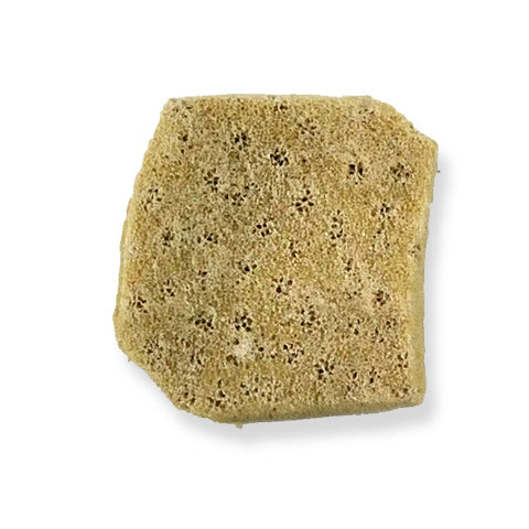 Natural Sponges