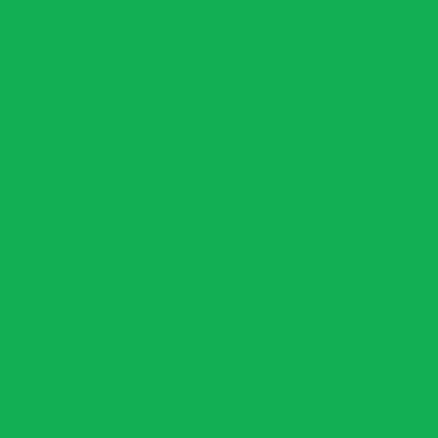 Amsterdam Acrylic Paint - Brown or Green