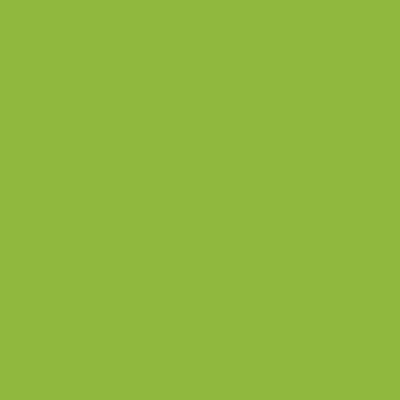 Amsterdam Acrylic Paint - Brown or Green