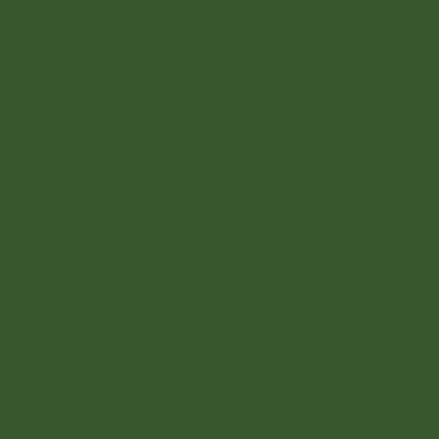 Amsterdam Acrylic Paint - Brown or Green