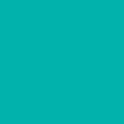 Amsterdam Acrylic Paint - Brown or Green