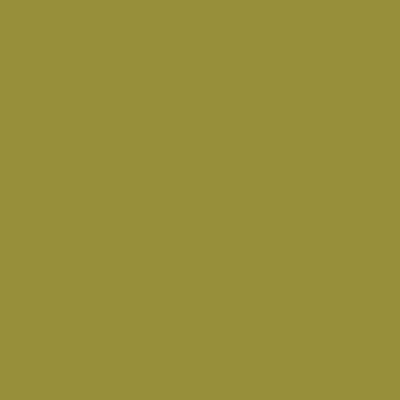 Tombow Dual Brush Pens - Brown or Green