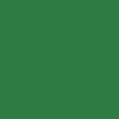 Tombow Dual Brush Pens - Brown or Green