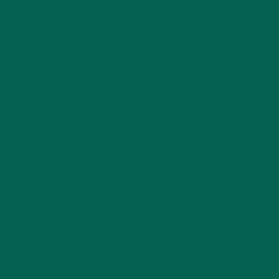 Tombow Dual Brush Pens - Brown or Green