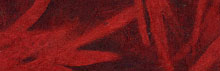 Tibetan Paper & Handicraft Solar Image Papers