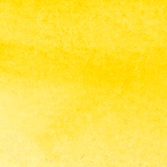 Winsor & Newton Promarker Watercolour - White or Yellow
