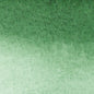 Winsor & Newton Promarker Watercolour - Brown or Green