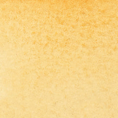 Winsor & Newton Promarker Watercolour - Brown or Green