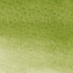 Winsor & Newton Promarker Watercolour - Brown or Green
