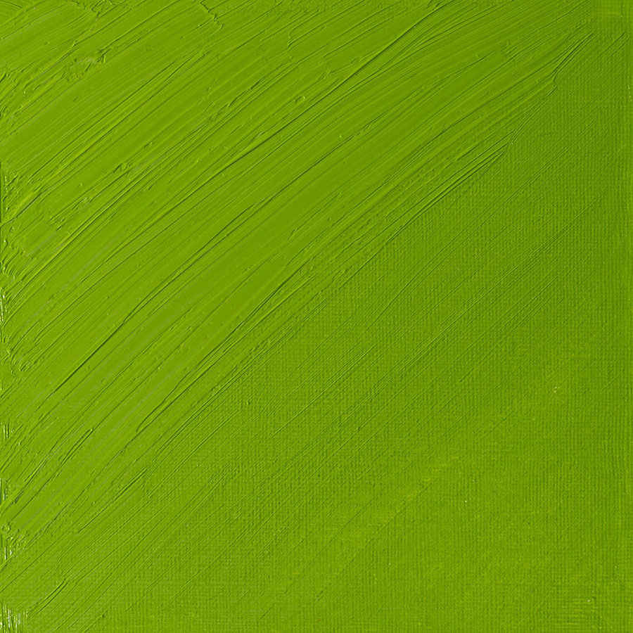 Winsor & Newton Artists' Oil Colours - Brown or Green