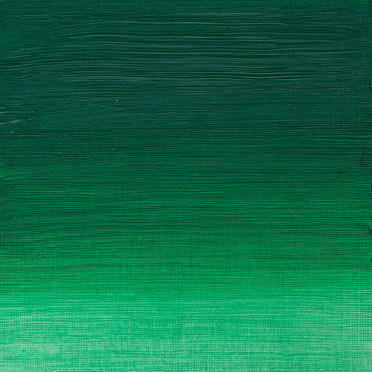 Winsor & Newton Artists' Oil Colours - Brown or Green