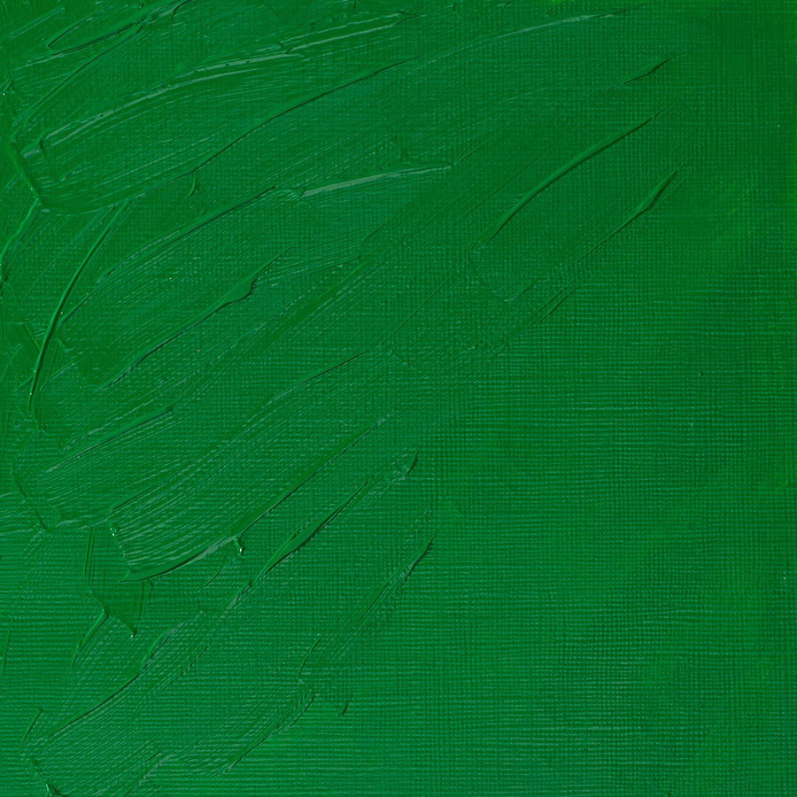 Winsor & Newton Artists' Oil Colours - Brown or Green