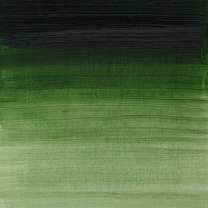 Winsor & Newton Artists' Oil Colours - Brown or Green