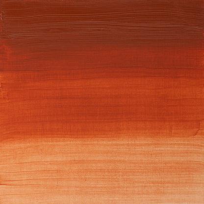 Winsor & Newton Artists' Oil Colours - Brown or Green