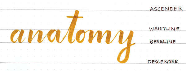 Anatomy of hand lettering