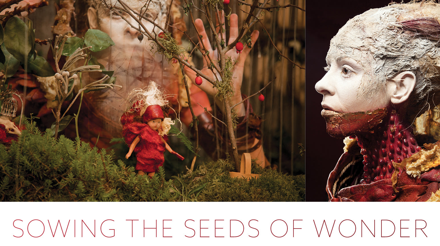 Sowing the Seeds of Wonder